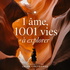 1 âme. 1001 vies à explorer