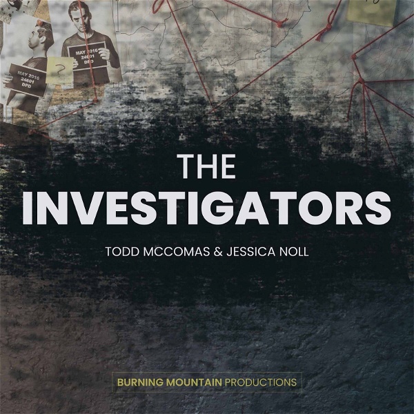 Artwork for The Investigators