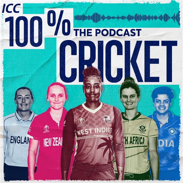 Artwork for 100% Cricket