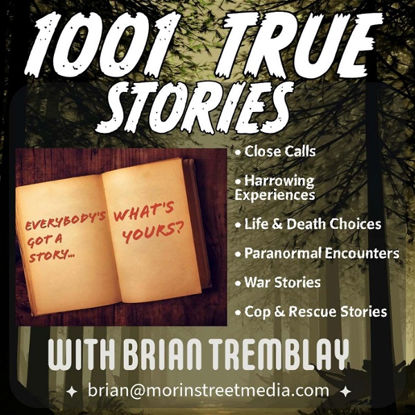 Artwork for 1001 True Stories