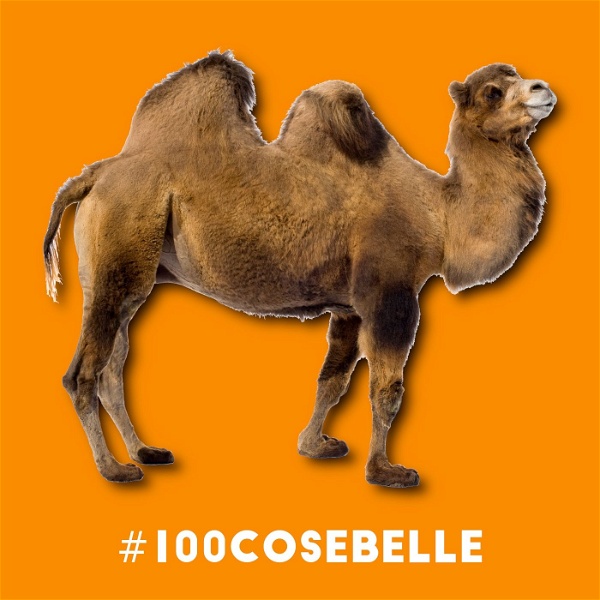 Artwork for #100cosebelle