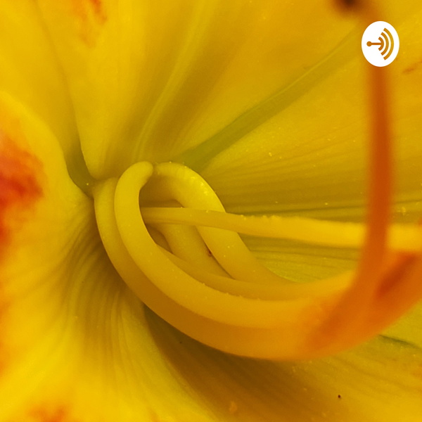 Artwork for 1960s Anti Communist Radio Commercial