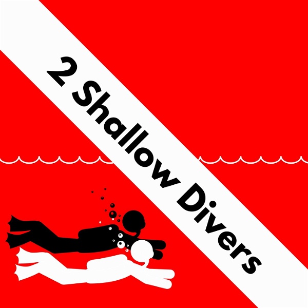 Artwork for 2 Shallow Divers