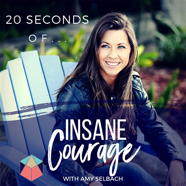 Artwork for 20 Seconds of Insane Courage