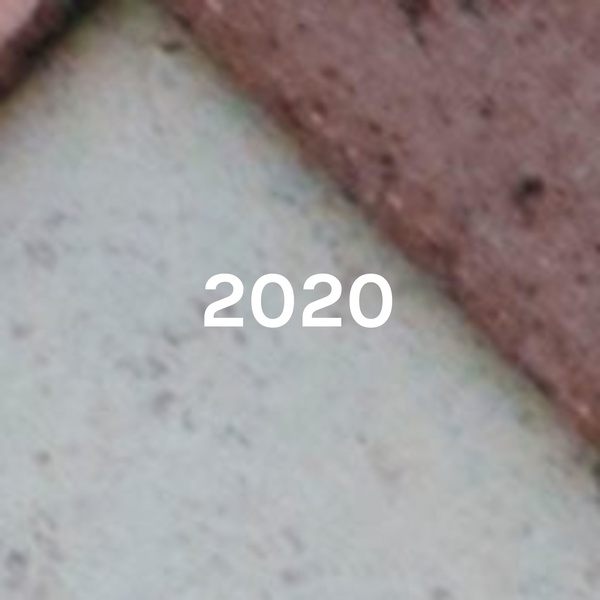 Artwork for 2020: The Election For BS