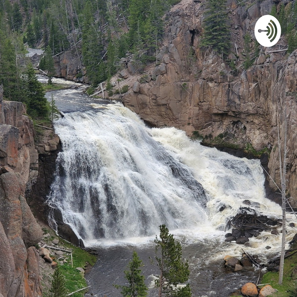 Artwork for 208 REBEL