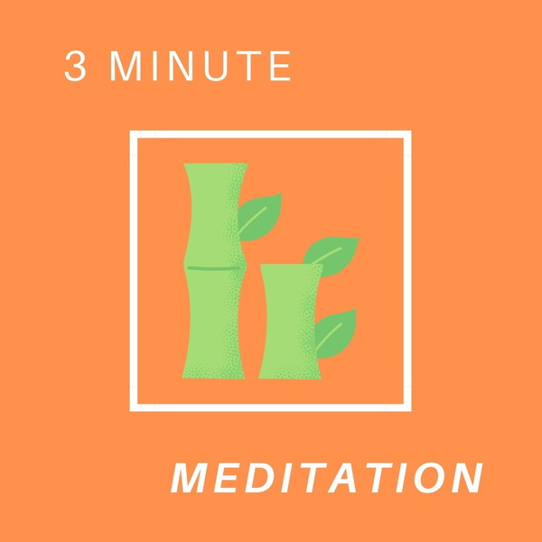 3 minute reiki bell zen meditation