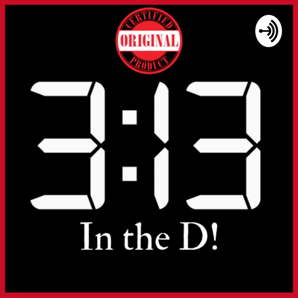 Artwork for 313 In The D!