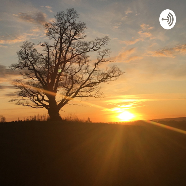 Artwork for 4 Enigheten