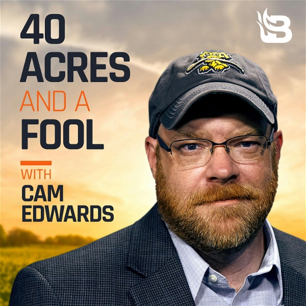 Artwork for 40 Acres & a Fool