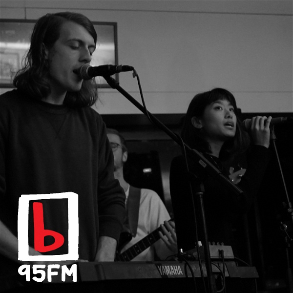 Artwork for 95bFM: Fancy New Band