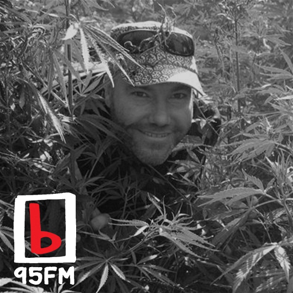 Artwork for 95bFM: Marijuana Media