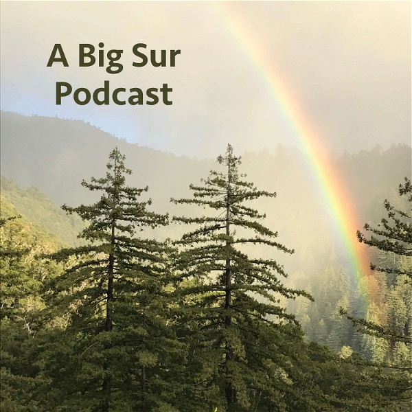 Artwork for A Big Sur Podcast