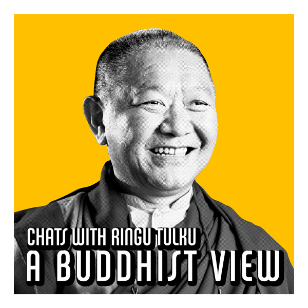 Artwork for A Buddhist View