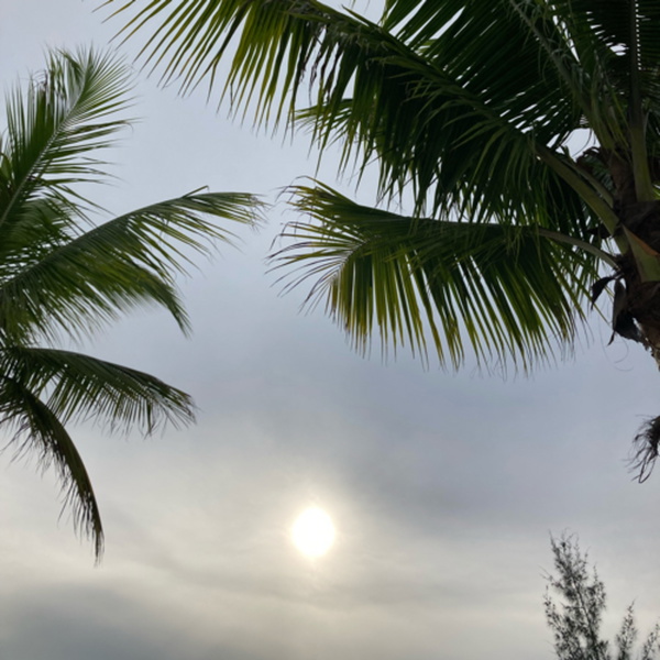 Artwork for A busy mind