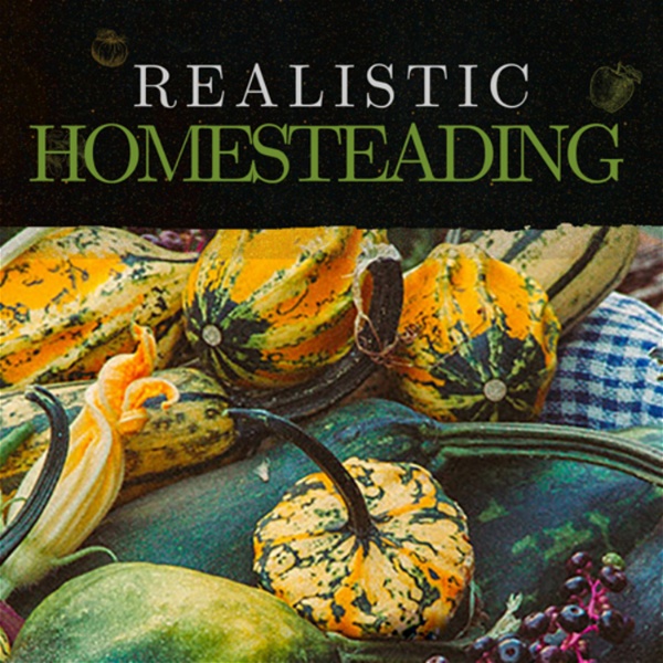 Artwork for A Day in The Simple Life, Realistic Homesteading
