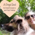 A Dog's Soul - An Empath's Guide to your Dog's Feelings