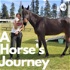 A Horse's Journey