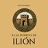 A las puertas de Ilión - Analizando la ILÍADA
