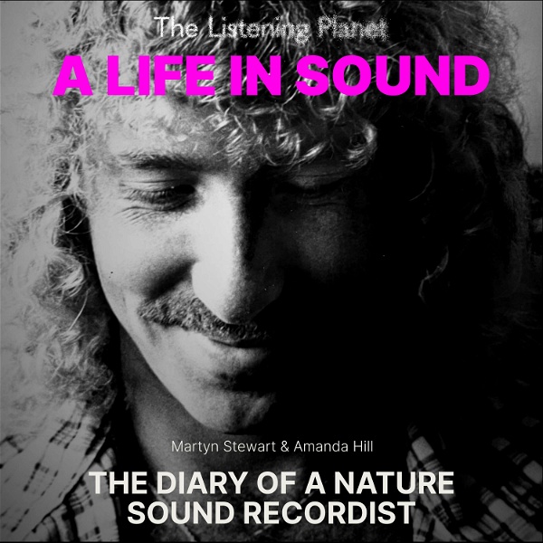 Artwork for A LIFE IN SOUND