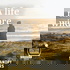 A Life More Wild