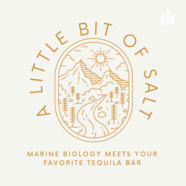 Artwork for A Little Bit of Salt