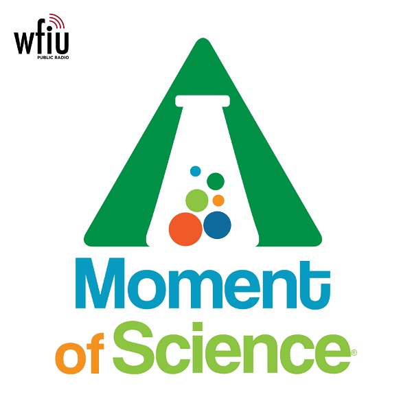 Artwork for A Moment of Science
