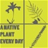 A Native Plant Every Day