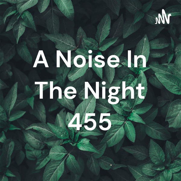 Artwork for A Noise In The Night 455