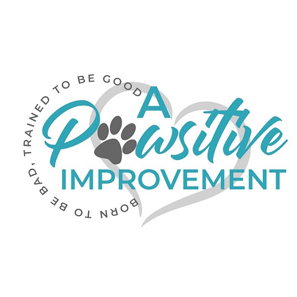 Artwork for A Pawsitive Improvement brings you DOG HELP