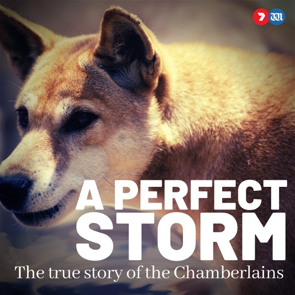 Artwork for A Perfect Storm: The True Story of The Chamberlains