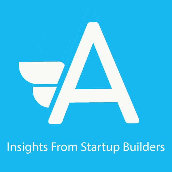 Artwork for Angelneers: Insights From Startup Builders