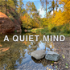 A Quiet Mind