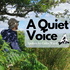 A Quiet Voice