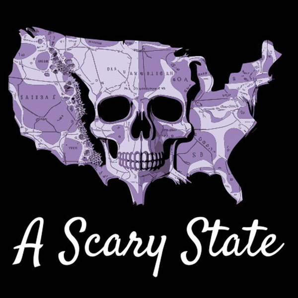 Artwork for A Scary State