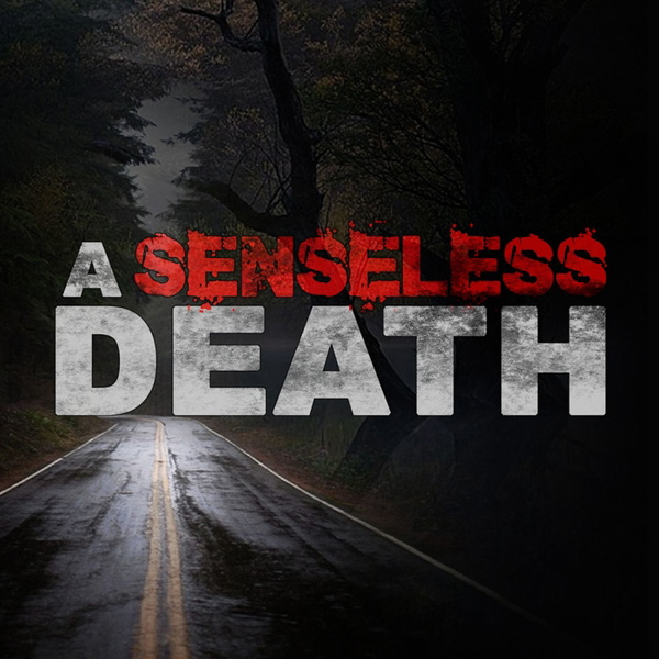 Artwork for A Senseless Death