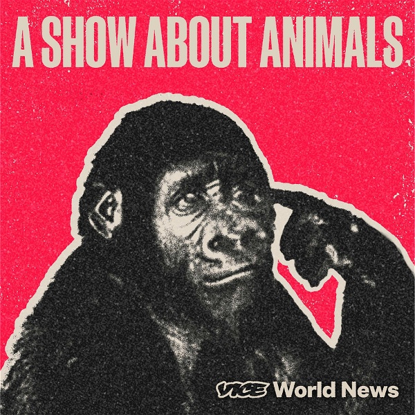 Artwork for A Show About Animals
