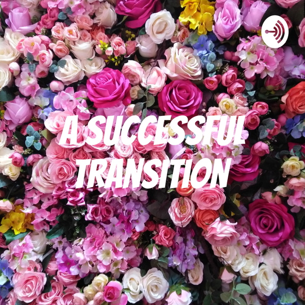Artwork for A successful transition