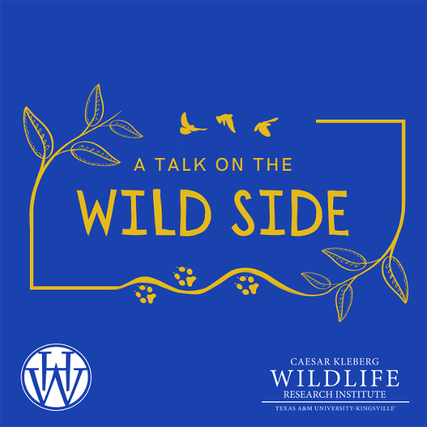 Artwork for A Talk on the Wild Side