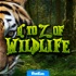 A to Z of Wildlife for Kids