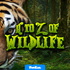 A to Z of Wildlife for Kids