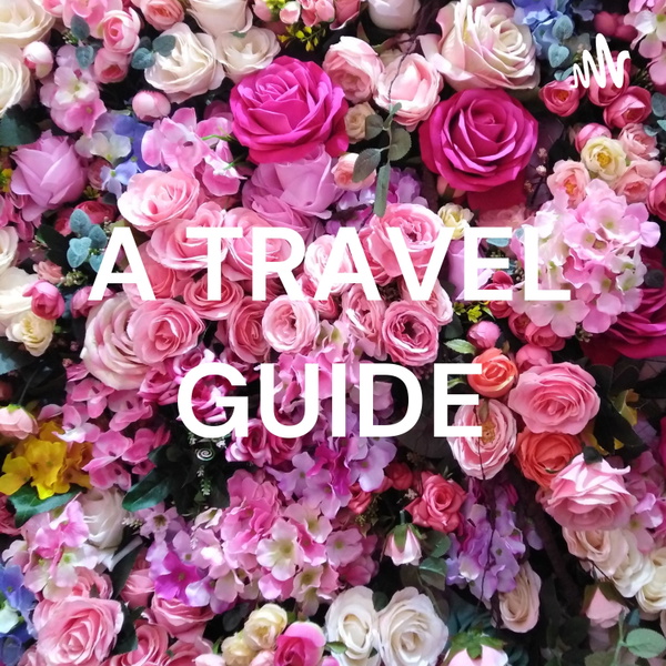Artwork for A TRAVEL GUIDE