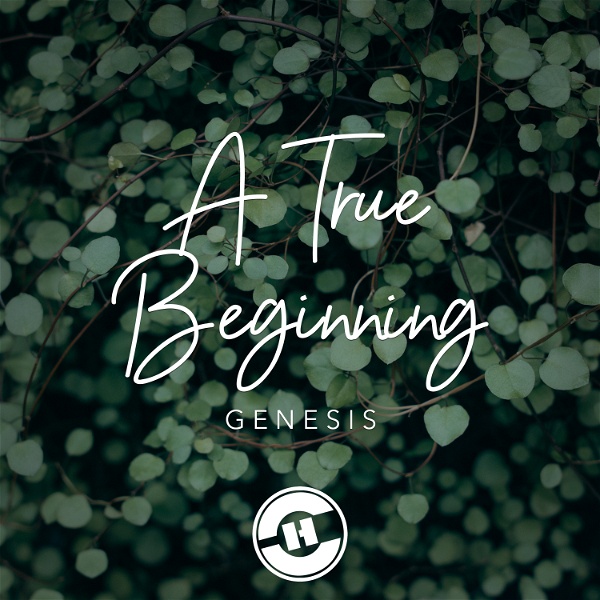 Artwork for A True Beginning: The Book Of Genesis