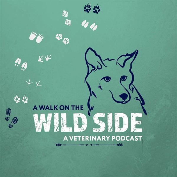 Artwork for A Walk on the Wild Side: A Veterinary Podcast