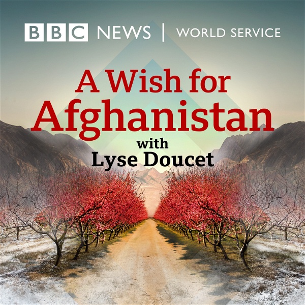 Artwork for A Wish for Afghanistan