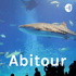 Abitour