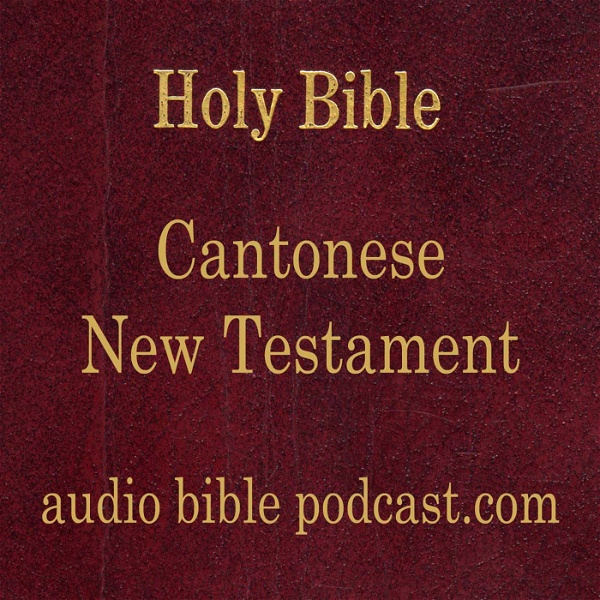 Artwork for ABP - Cantonese Bible - New Testament - January Start