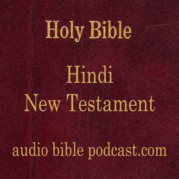 Artwork for ABP - Hindi Bible - New Testament - January Start