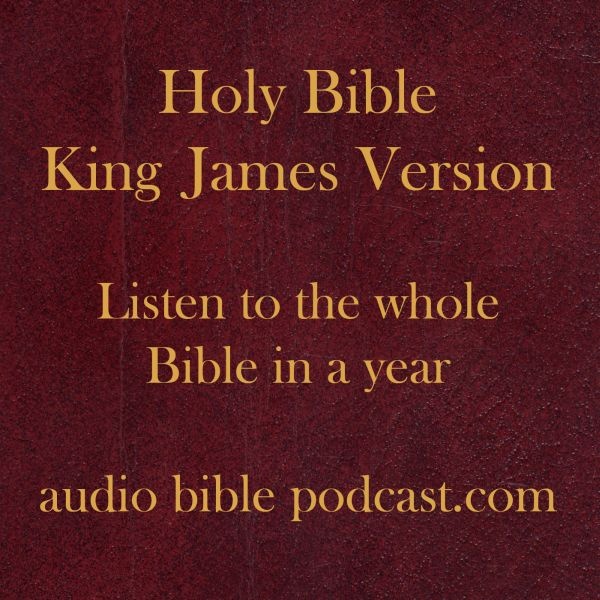 Artwork for ABP - King James Version - One Hour A Day - January Start