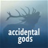 Accidental Gods